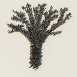 Organizations and Growth Photo of Organizational Tree