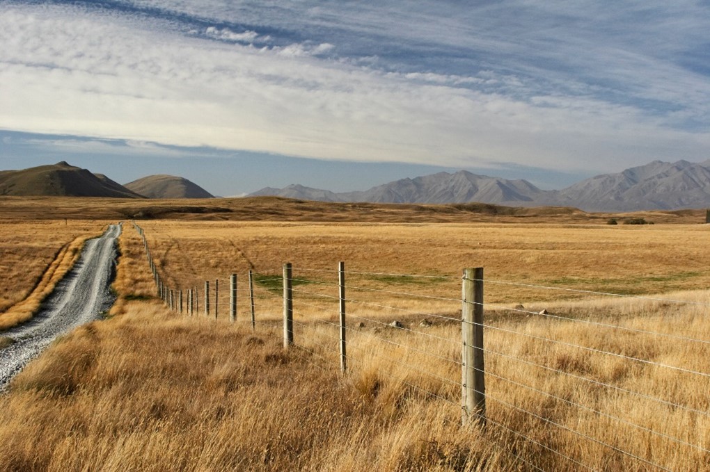 Wide Open Western Spaces