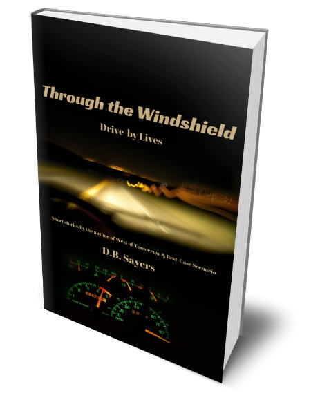 Through the Windshield 3D Book Cover